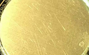 Longines Watch Case Scratches